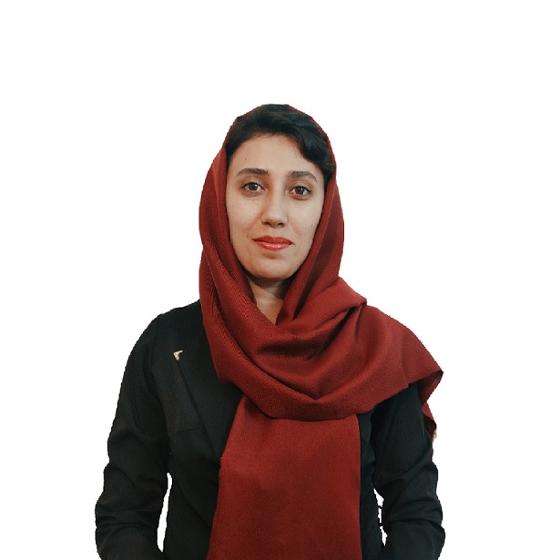 فرزانه عرب احمدی، برنامه‌نویس ارشد